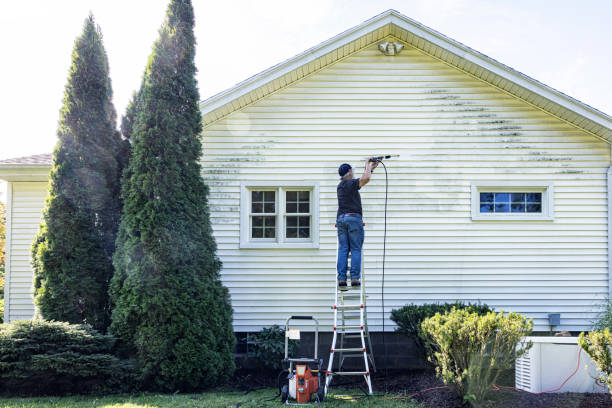 Solar Panel Cleaning in Coal City, IL